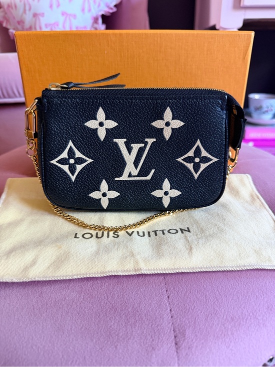 Louis Vuitton Handbags - Louis Vuitton bicolor mini pochette accessories
